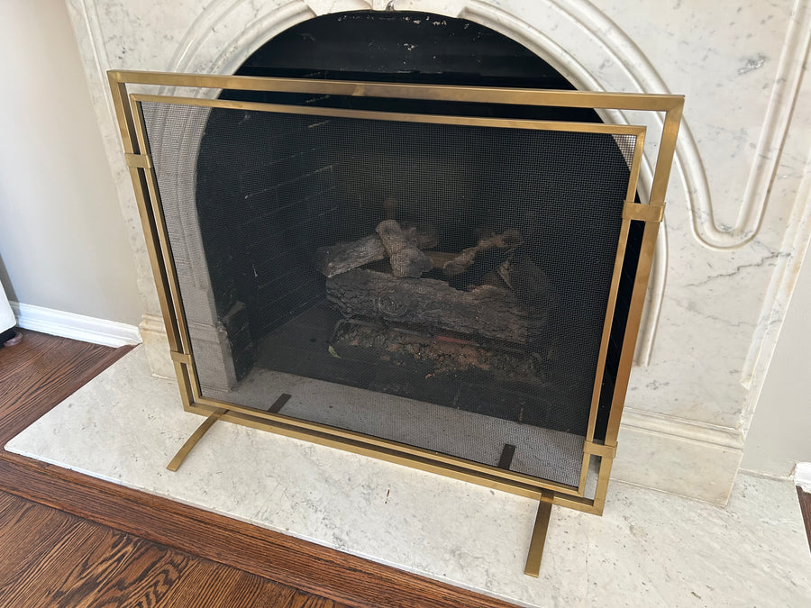 Pottery Barn Fire Place Screen